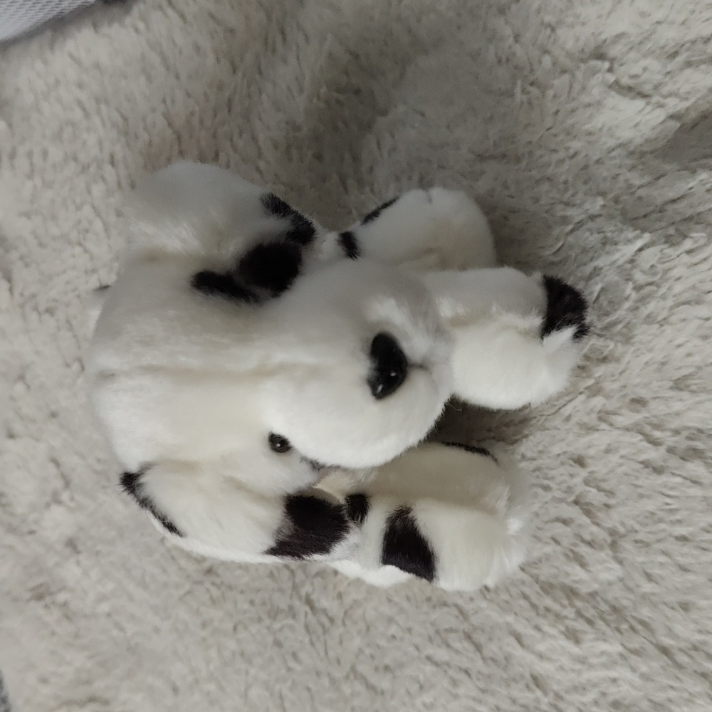 Russ dalmation dot dog